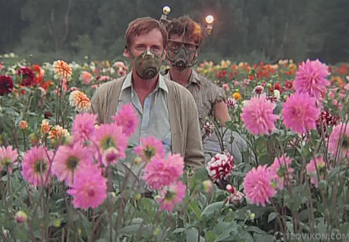 Фильм «Кин-дза-дза», 1986
- отзывы
