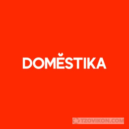 
                            Онлайн-курсы Domestika
                         - отзывы