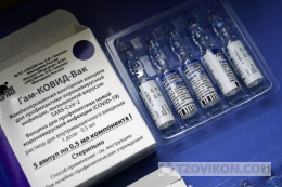 Вакцина спутник V против ковида 19
- отзывы