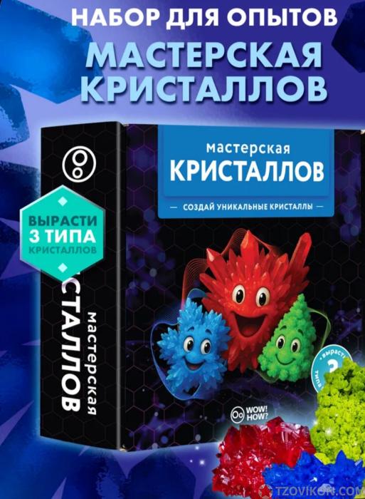 
                            Набор для опытов WOW! HOW!!
                         - отзывы