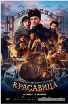 
                            Фильм &laquo;Красавица&raquo;, 2026
                         - отзывы