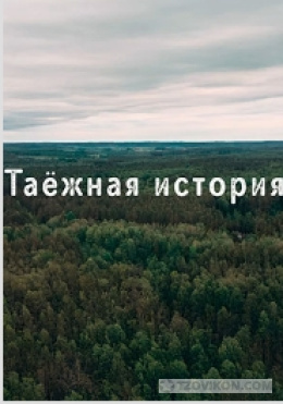 Сериал «Таёжная история», 2026
- отзывы