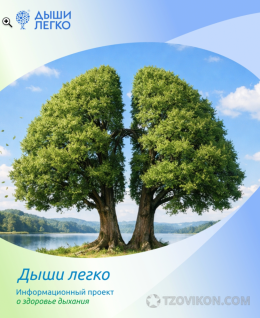 
                            Дышилегко.рф &ndash; сайт
                         - отзывы